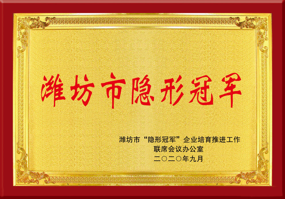 濰坊市(shi)隐形冠軍